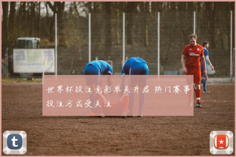 世界杯投注竞彩单关开启 热门赛事投注方式受关注