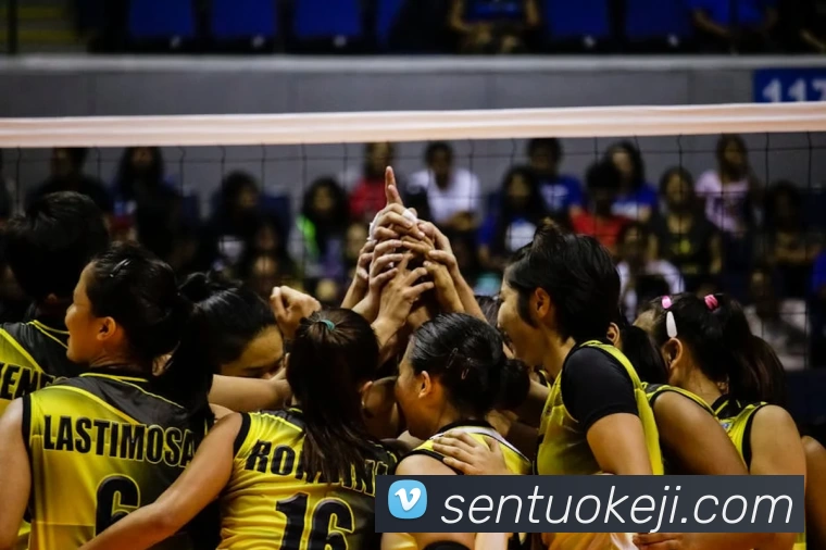 开运体育app登录入口(中国)有限公司 - 官网平台生态图